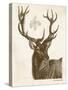 Neutral Deer I-Gwendolyn Babbitt-Stretched Canvas