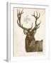 Neutral Deer I-Gwendolyn Babbitt-Framed Art Print