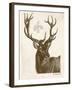 Neutral Deer I-Gwendolyn Babbitt-Framed Art Print