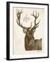 Neutral Deer I-Gwendolyn Babbitt-Framed Art Print