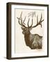 Neutral Deer II-Gwendolyn Babbitt-Framed Art Print