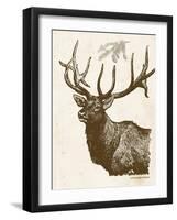 Neutral Deer II-Gwendolyn Babbitt-Framed Art Print