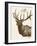 Neutral Deer II-Gwendolyn Babbitt-Framed Art Print