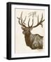 Neutral Deer II-Gwendolyn Babbitt-Framed Art Print