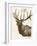Neutral Deer II-Gwendolyn Babbitt-Framed Art Print
