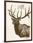 Neutral Deer II-Gwendolyn Babbitt-Framed Art Print