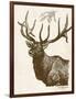 Neutral Deer II-Gwendolyn Babbitt-Framed Art Print