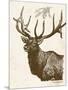 Neutral Deer II-Gwendolyn Babbitt-Mounted Art Print
