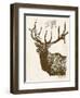 Neutral Deer II-Gwendolyn Babbitt-Framed Art Print