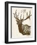 Neutral Deer II-Gwendolyn Babbitt-Framed Art Print