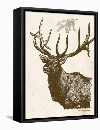 Neutral Deer II-Gwendolyn Babbitt-Framed Stretched Canvas