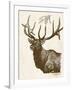 Neutral Deer II-Gwendolyn Babbitt-Framed Art Print