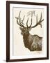 Neutral Deer II-Gwendolyn Babbitt-Framed Art Print