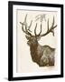 Neutral Deer II-Gwendolyn Babbitt-Framed Art Print