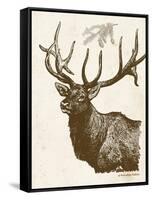 Neutral Deer II-Gwendolyn Babbitt-Framed Stretched Canvas