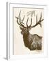 Neutral Deer II-Gwendolyn Babbitt-Framed Art Print