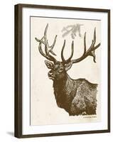 Neutral Deer II-Gwendolyn Babbitt-Framed Art Print