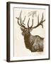 Neutral Deer II-Gwendolyn Babbitt-Framed Art Print