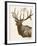 Neutral Deer II-Gwendolyn Babbitt-Framed Art Print