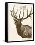 Neutral Deer II-Gwendolyn Babbitt-Framed Stretched Canvas