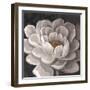 Neutral Fleur I-Tim O'toole-Framed Art Print