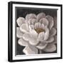 Neutral Fleur I-Tim O'toole-Framed Art Print