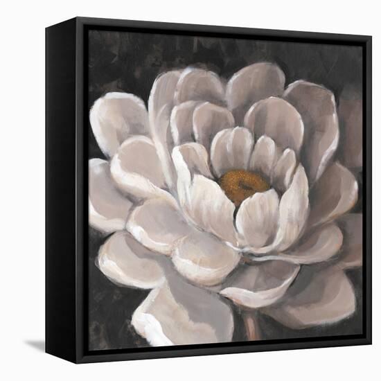 Neutral Fleur I-Tim O'toole-Framed Stretched Canvas