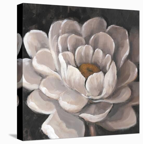 Neutral Fleur I-Tim O'toole-Stretched Canvas