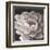 Neutral Fleur I-Tim O'toole-Framed Art Print