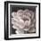 Neutral Fleur I-Tim O'toole-Framed Art Print