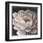 Neutral Fleur I-Tim O'toole-Framed Art Print