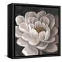 Neutral Fleur I-Tim O'toole-Framed Stretched Canvas