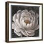 Neutral Fleur II-Tim O'toole-Framed Art Print