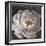 Neutral Fleur II-Tim O'toole-Framed Art Print