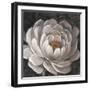 Neutral Fleur II-Tim O'toole-Framed Art Print