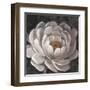 Neutral Fleur II-Tim O'toole-Framed Art Print