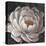 Neutral Fleur II-Tim O'toole-Stretched Canvas