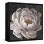 Neutral Fleur II-Tim O'toole-Framed Stretched Canvas