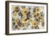 Neutral Floral Beige I Yellow Flowers-Silvia Vassileva-Framed Premium Giclee Print