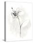 Neutral Floral Gesture IX-June Erica Vess-Stretched Canvas