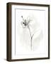 Neutral Floral Gesture IX-June Erica Vess-Framed Art Print