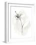 Neutral Floral Gesture IX-June Erica Vess-Framed Art Print