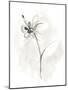 Neutral Floral Gesture IX-June Erica Vess-Mounted Art Print