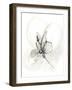 Neutral Floral Gesture VI-June Erica Vess-Framed Art Print