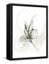 Neutral Floral Gesture VI-June Erica Vess-Framed Stretched Canvas