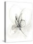 Neutral Floral Gesture VI-June Erica Vess-Stretched Canvas