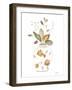 Neutral Floral I-Janet Tava-Framed Art Print