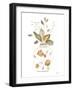 Neutral Floral I-Janet Tava-Framed Art Print