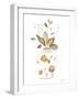 Neutral Floral I-Janet Tava-Framed Art Print