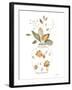 Neutral Floral I-Janet Tava-Framed Art Print